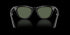 RAY-BAN Skyler Shiny Black W/g15 Green Accessories